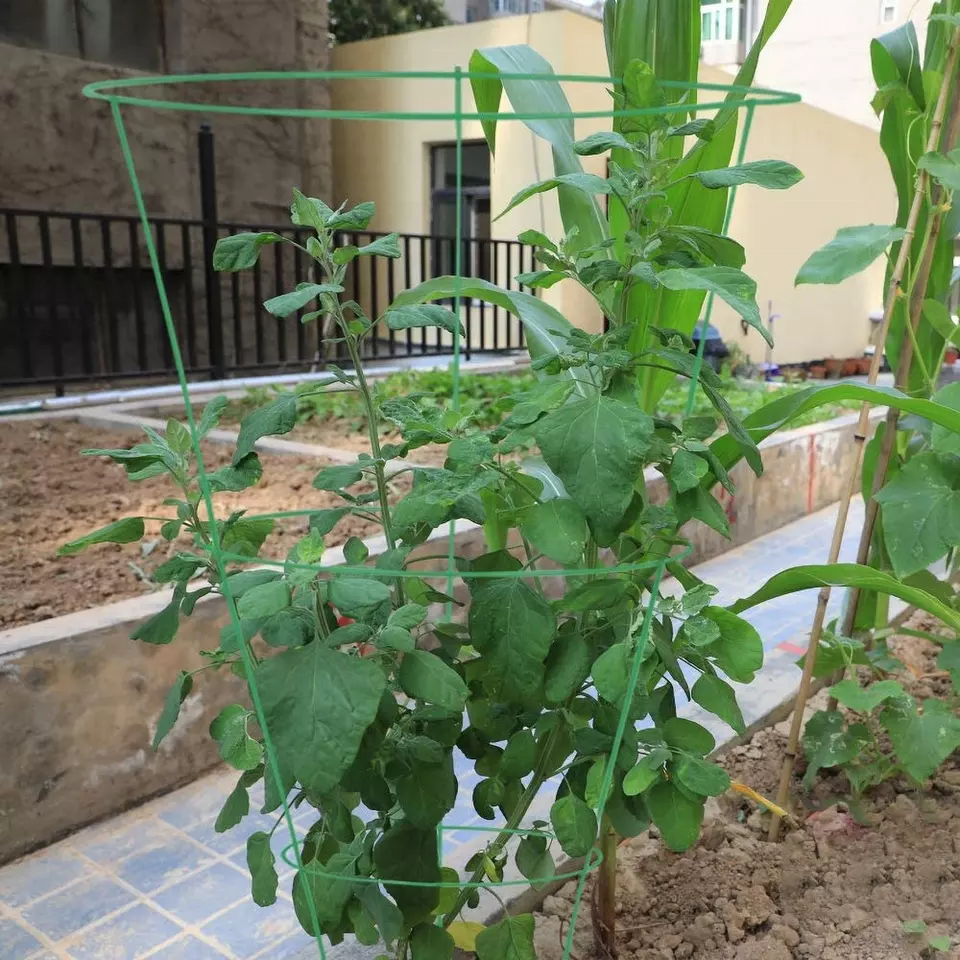 Heavy Duty Plant Support Tomato Cage with 3/4 rings