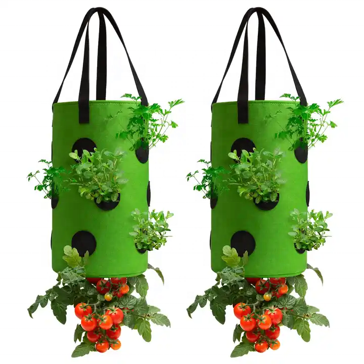 Customized 2 3 5 7 10 gal grow planter pot non-woven geo pot non woven geotextile planting grow bags strawberry planter bags