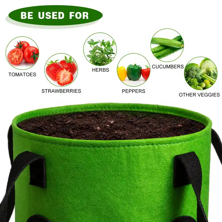 Customized 2 3 5 7 10 gal grow planter pot non-woven geo pot non woven geotextile planting grow bags strawberry planter bags