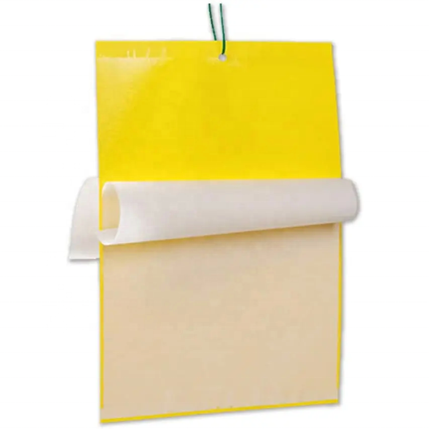 Glue Paper Insect Trap Catcher Killer Yellow Sticky Traps For Flying Plant Insect