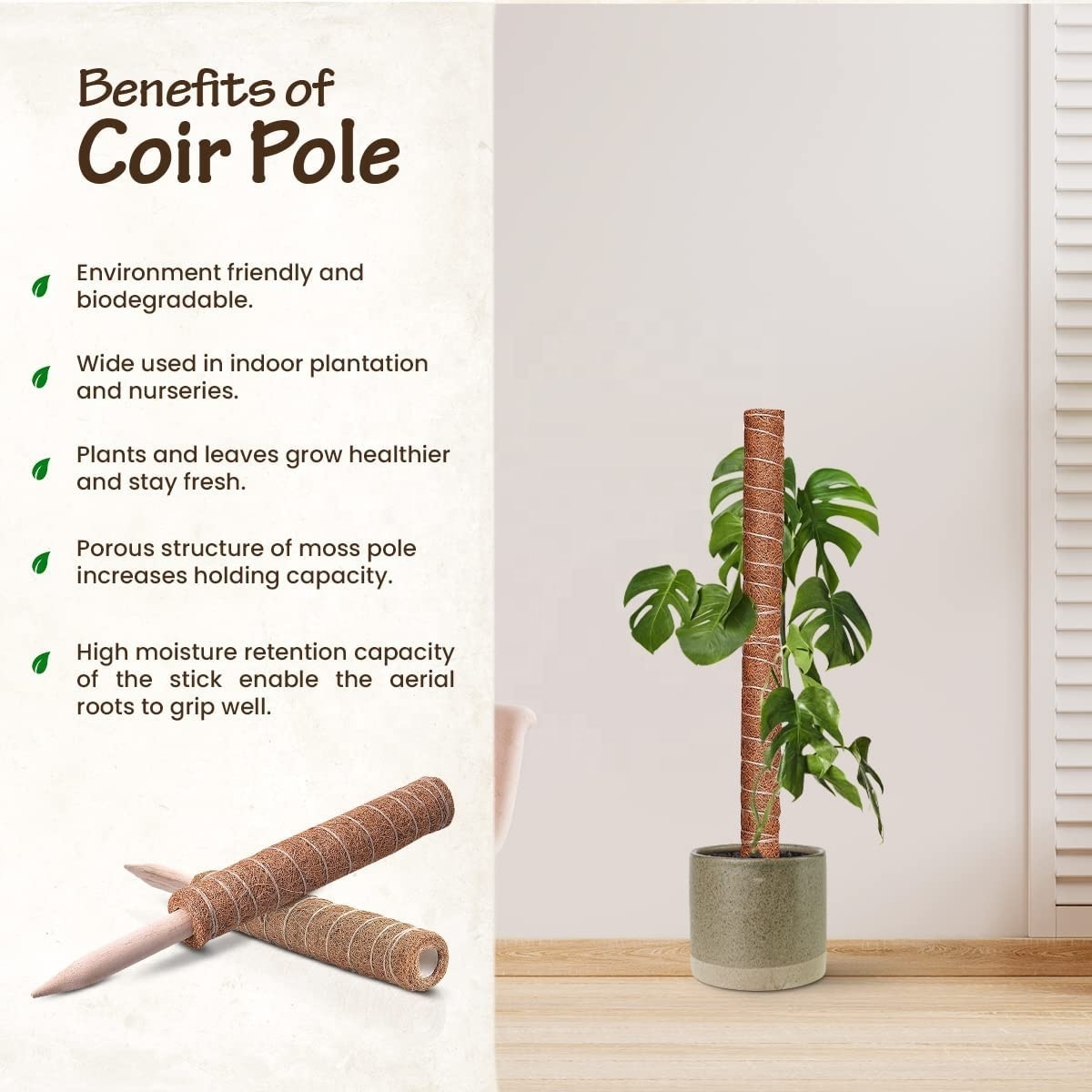 Monstera Plant Natural Coconut Coir Moss Totem Pole Plant Extension Support Creeper Potted Support Stick with Coconut Fiber