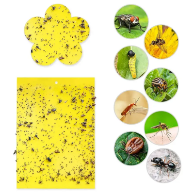 Glue Paper Insect Trap Catcher Killer Yellow Sticky Traps For Flying Plant Insect