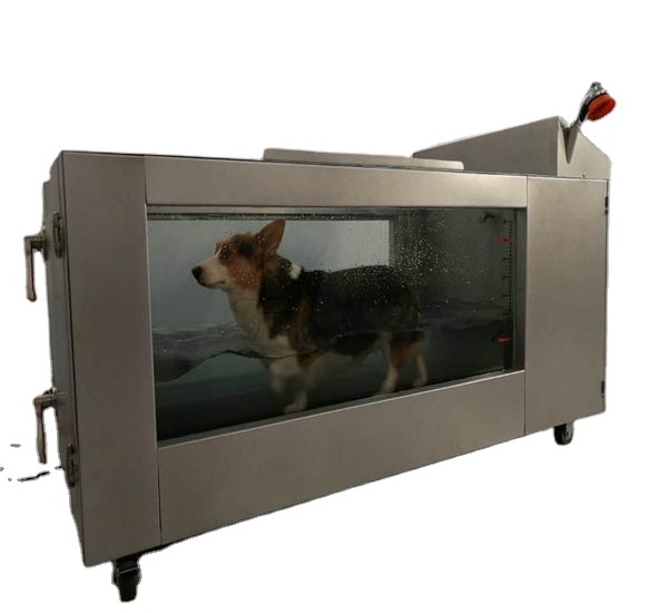 Electric Dog  Treadmill  Dog Underwater Treadmill