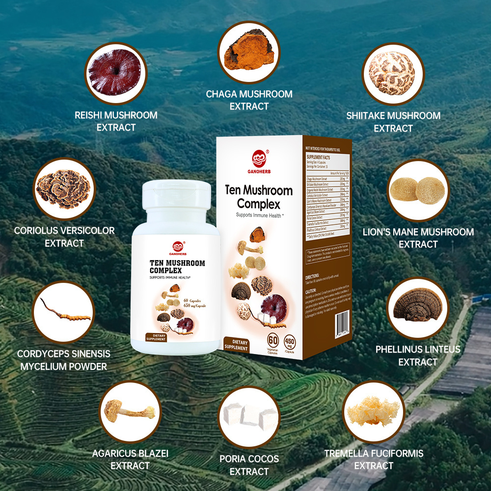 Factory Wholesale Price Chinese Multi Mixed Mushroom Medicine Reishi Ganoderma Lucidum Spore Powder Capsule Manufacturer