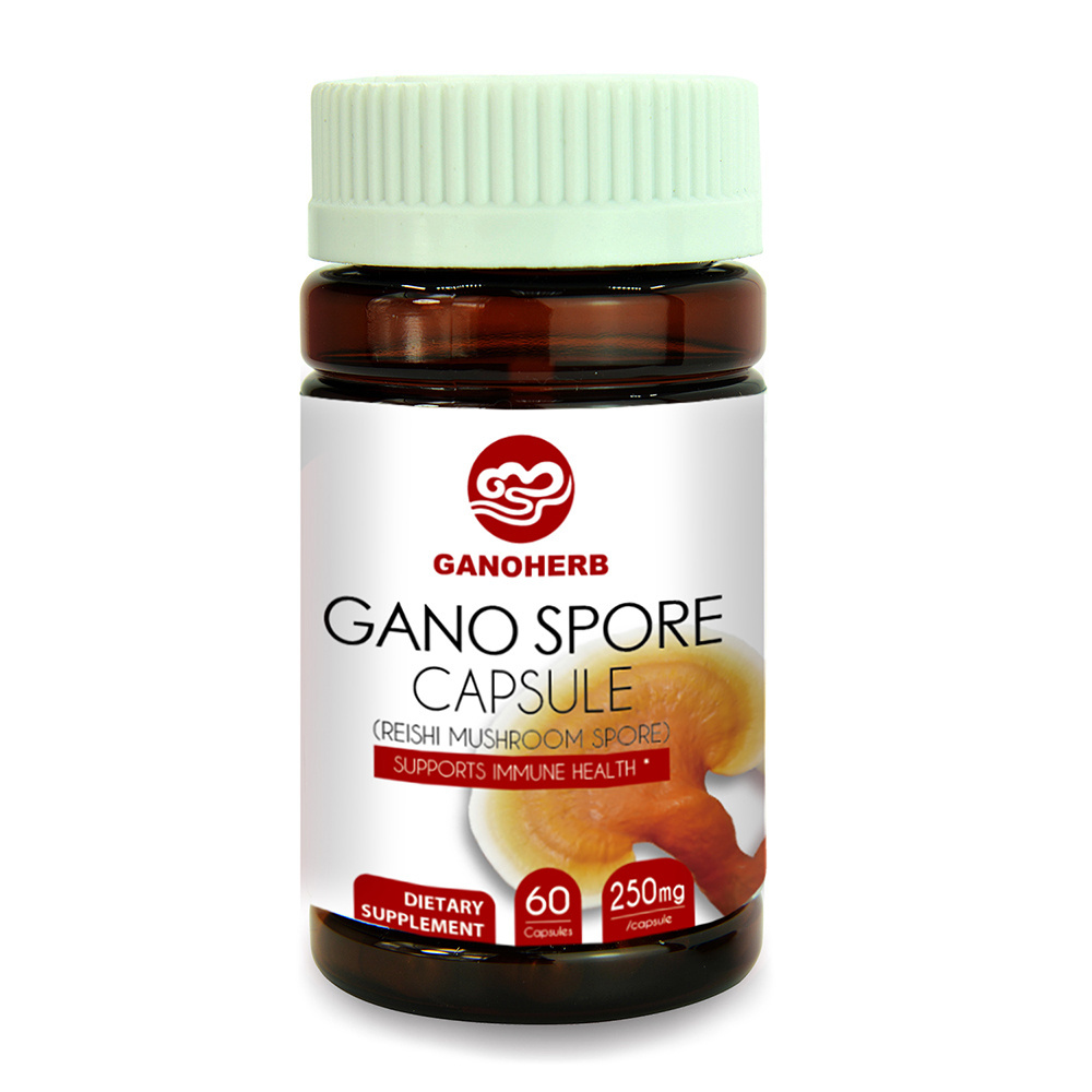 Gano Herb Wholesale Organic Ganoderma Lucidum Capsule For Extract Reishi Mushroom Lingzhi