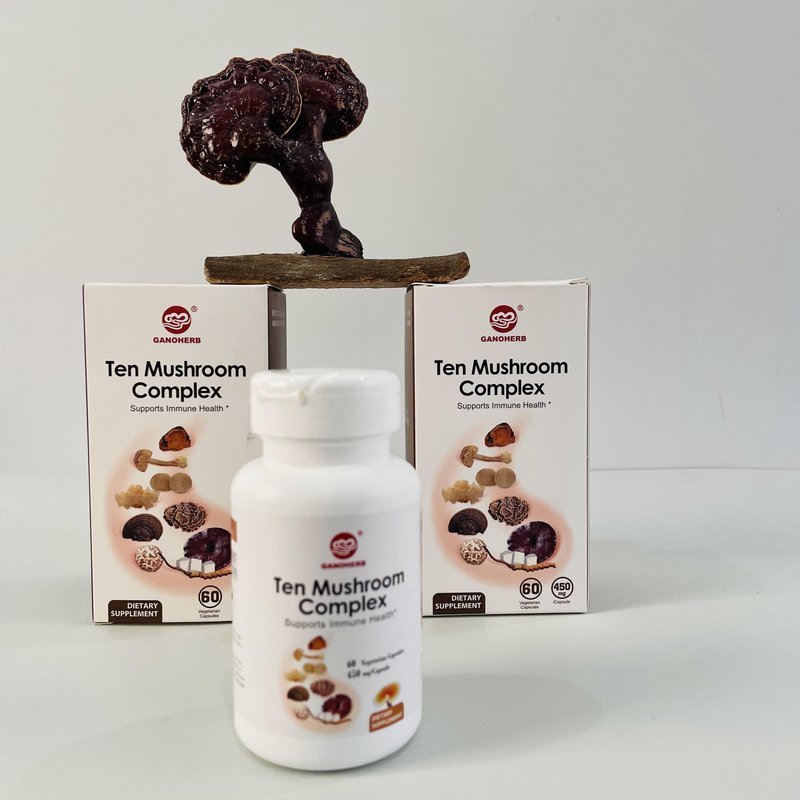 Factory Wholesale Price Chinese Multi Mixed Mushroom Medicine Reishi Ganoderma Lucidum Spore Powder Capsule Manufacturer