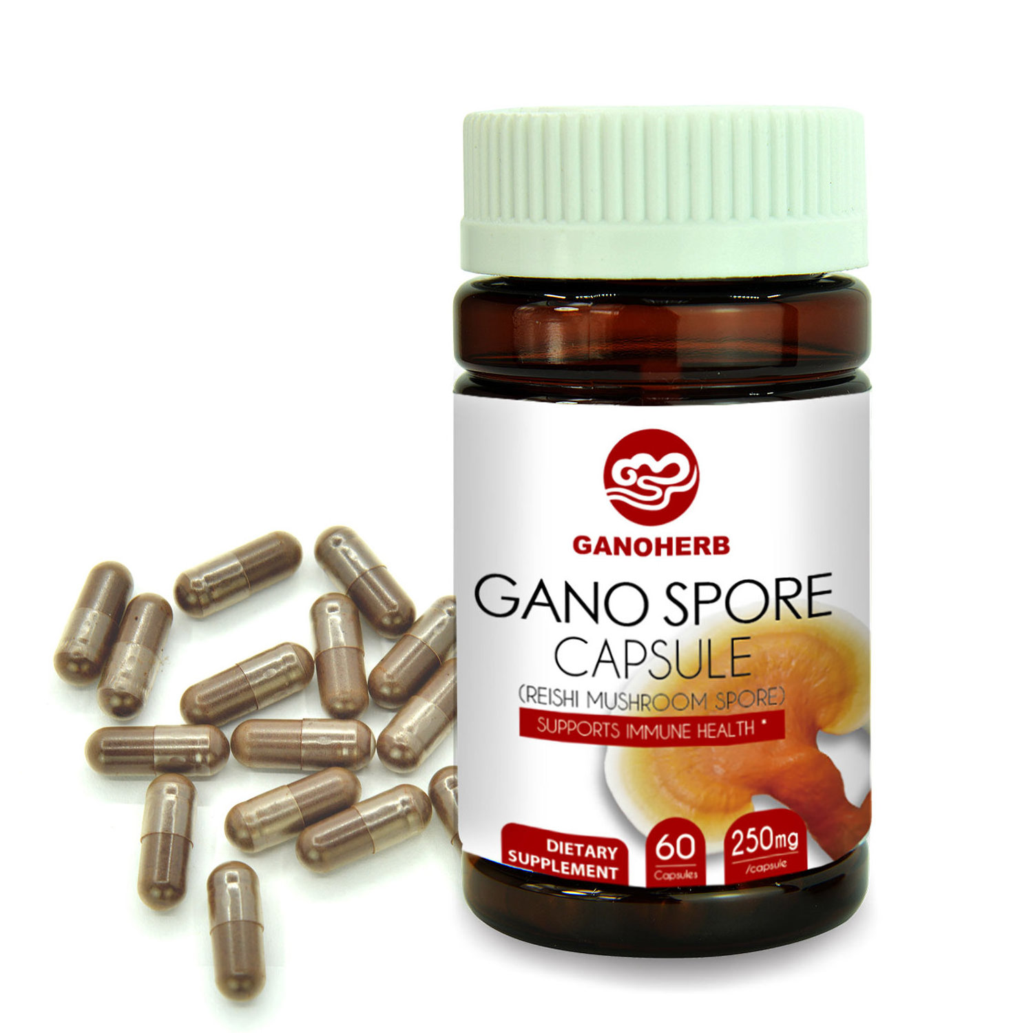 Gano Herb Wholesale Organic Ganoderma Lucidum Capsule For Extract Reishi Mushroom Lingzhi