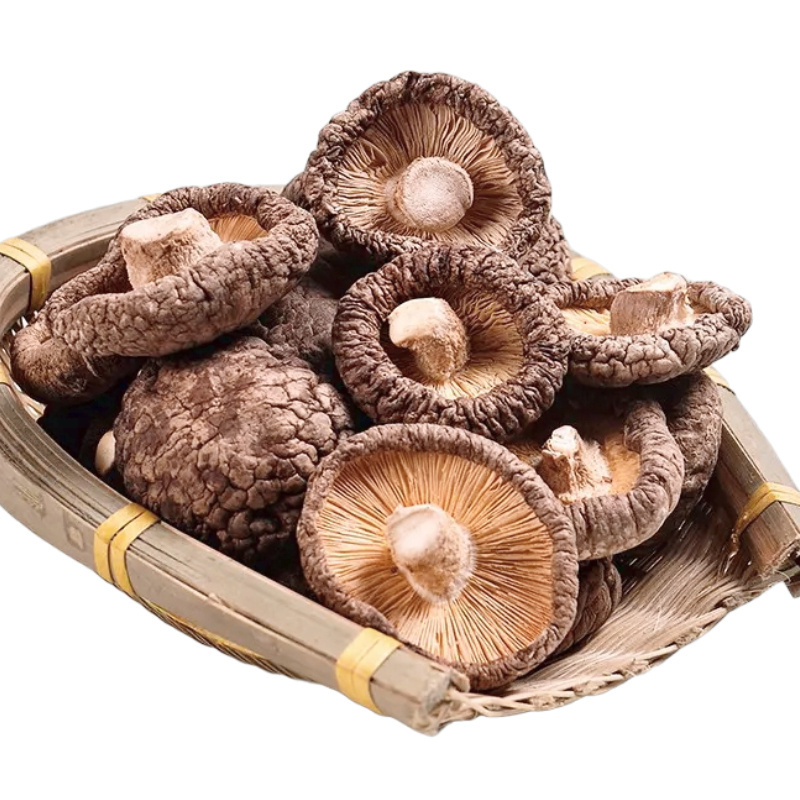 High Quality Dried Xianggu mushroom Pure Chinese Shiitake Mushroom Bulk Wholesale price of morchella mushroom