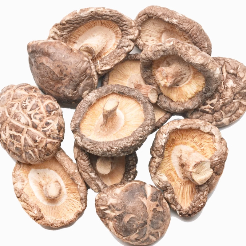 High Quality Dried Xianggu mushroom Pure Chinese Shiitake Mushroom Bulk Wholesale price of morchella mushroom