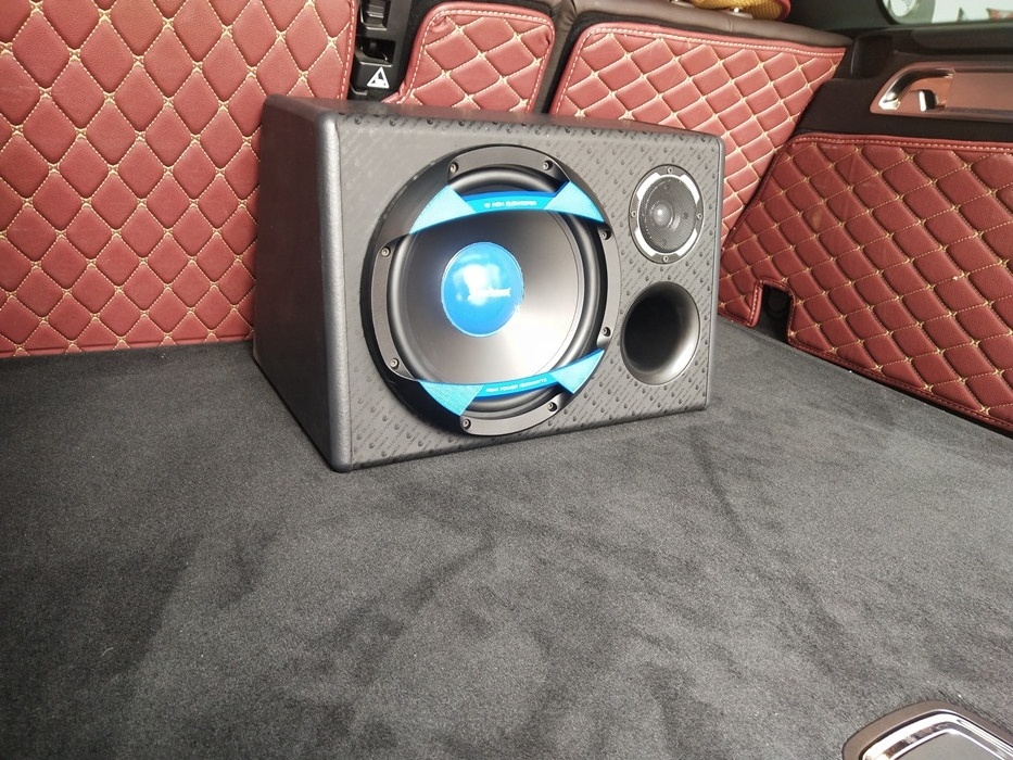 10inch  Big Powerful Professional 1000W Competition Subwoofer Car for Car Strong Subwoofer