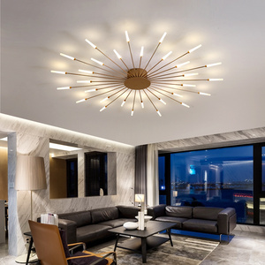 Badu Modern Home Art Decorative Lights Creative Fireworks Living Room LED Ceiling Lights