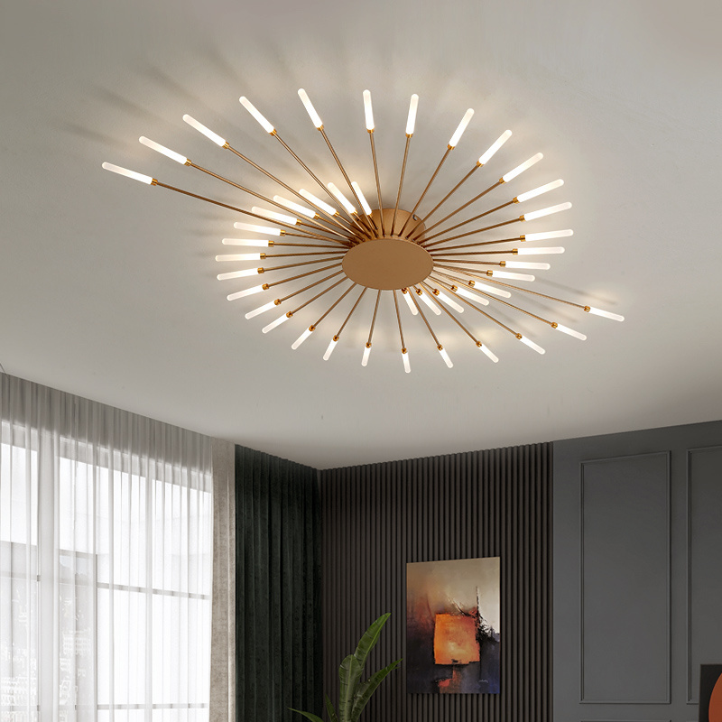 Badu Modern Home Art Decorative Lights Creative Fireworks Living Room LED Ceiling Lights