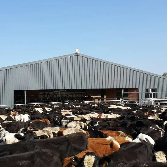 China Low Cost Prefab Metal Steel Structure Farm Building Cow Chicken Sheep Barn Shed For Sale