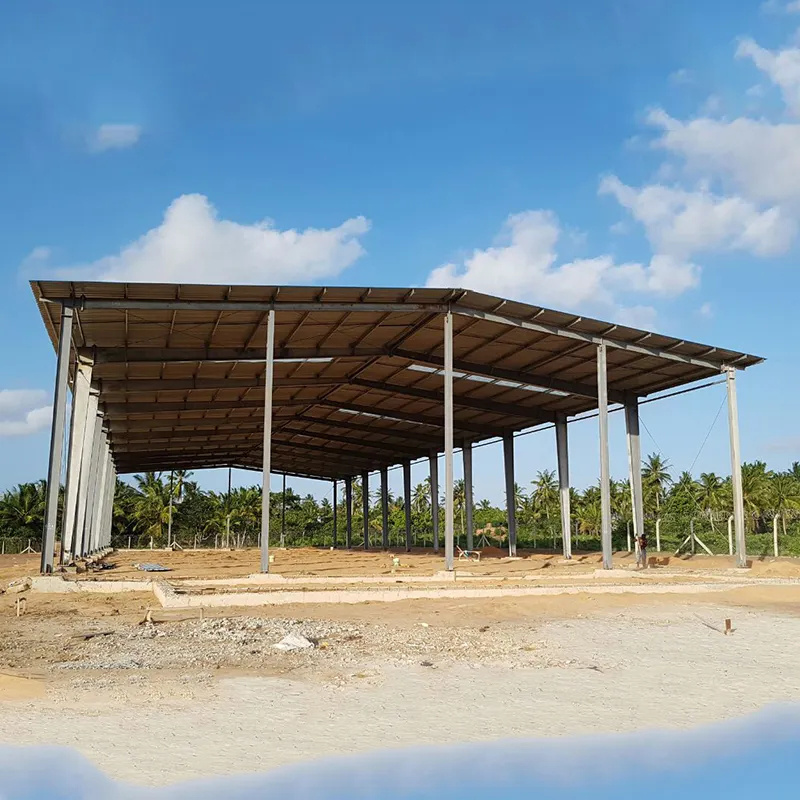 Low Cost Stable Design Prefabricated Steel Structure Dairy Cattle Cow Shed Farm House Building