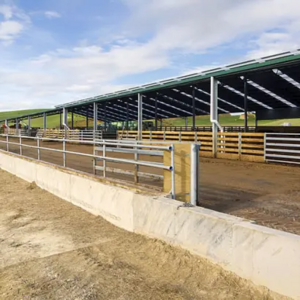 China Low Cost Prefab Metal Steel Structure Farm Building Cow Chicken Sheep Barn Shed For Sale