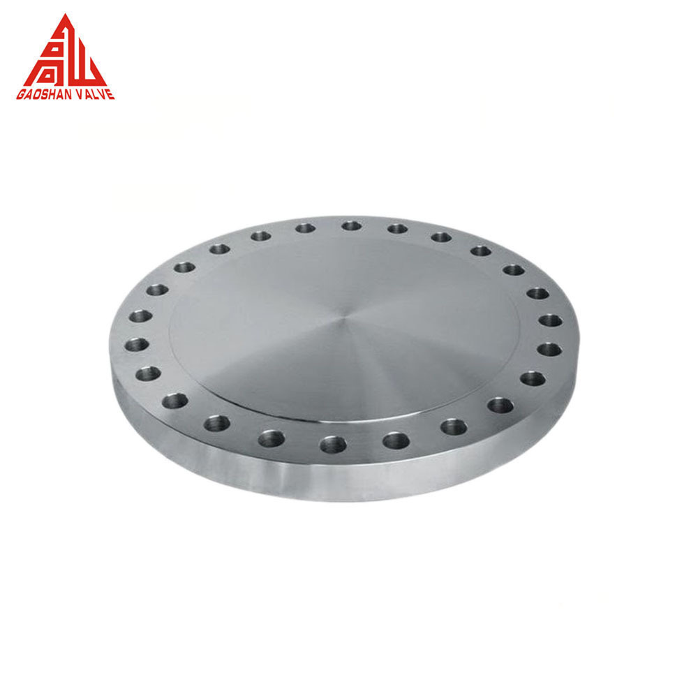 High Quality ANSI 6 Inch CL300 Steel Blind Flange