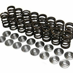 car race part inlet exhaust engine valve springs kits for Toyota 2jz 2jzgte 4age 3sgte 4EFTE 5E 1nz 2tr 1kd 1grfe 5k 4a-ge 3sge