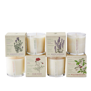 Luxury Plant Shape the Box herbal-floral Scented Candles with Clean-burning Soy Wax with Essential Oils Starter Plant Kit