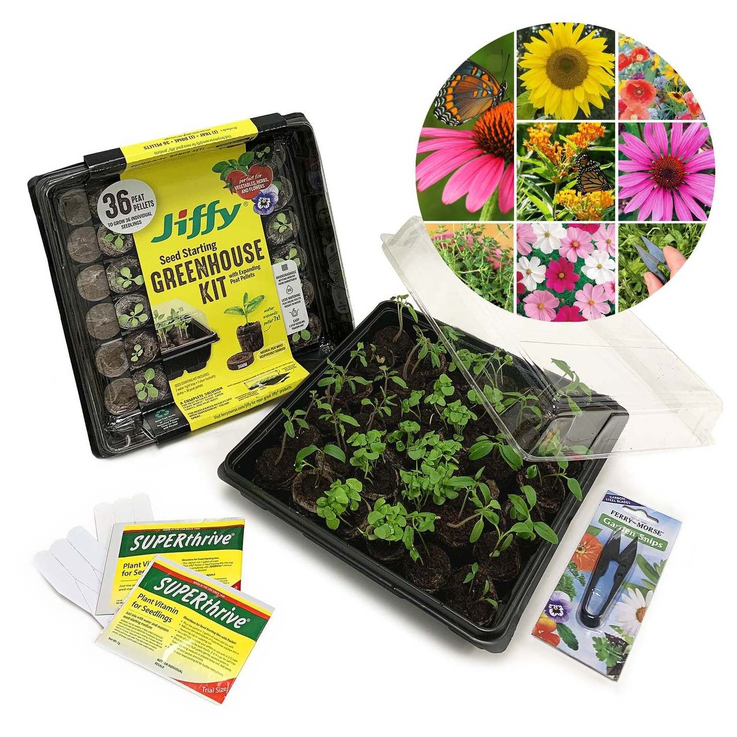 Wholesale Pollinator Herb Garden Tools Set Diy Flower Cactus Herb Plant fertilizer Science Grow Kit Indoor Herb Starter Kit