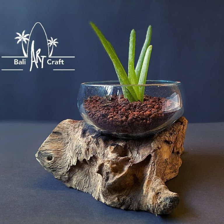 Driftwood Molten Glass Terrarium Aquarium Garden Supplies Decorative Half Open Bottle Terrarium Wholesale Supplies Plant