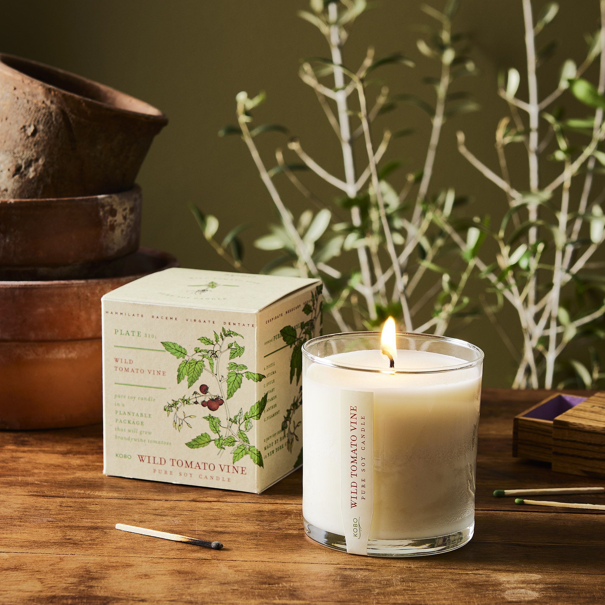 Luxury Plant Shape the Box herbal-floral Scented Candles with Clean-burning Soy Wax with Essential Oils Starter Plant Kit