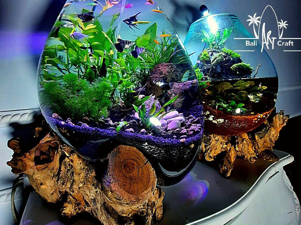 OEM Driftwood Molten Glass Terrarium Aquarium  Large Tall Light Up Terrarium Kit For Kid Gardening Tools