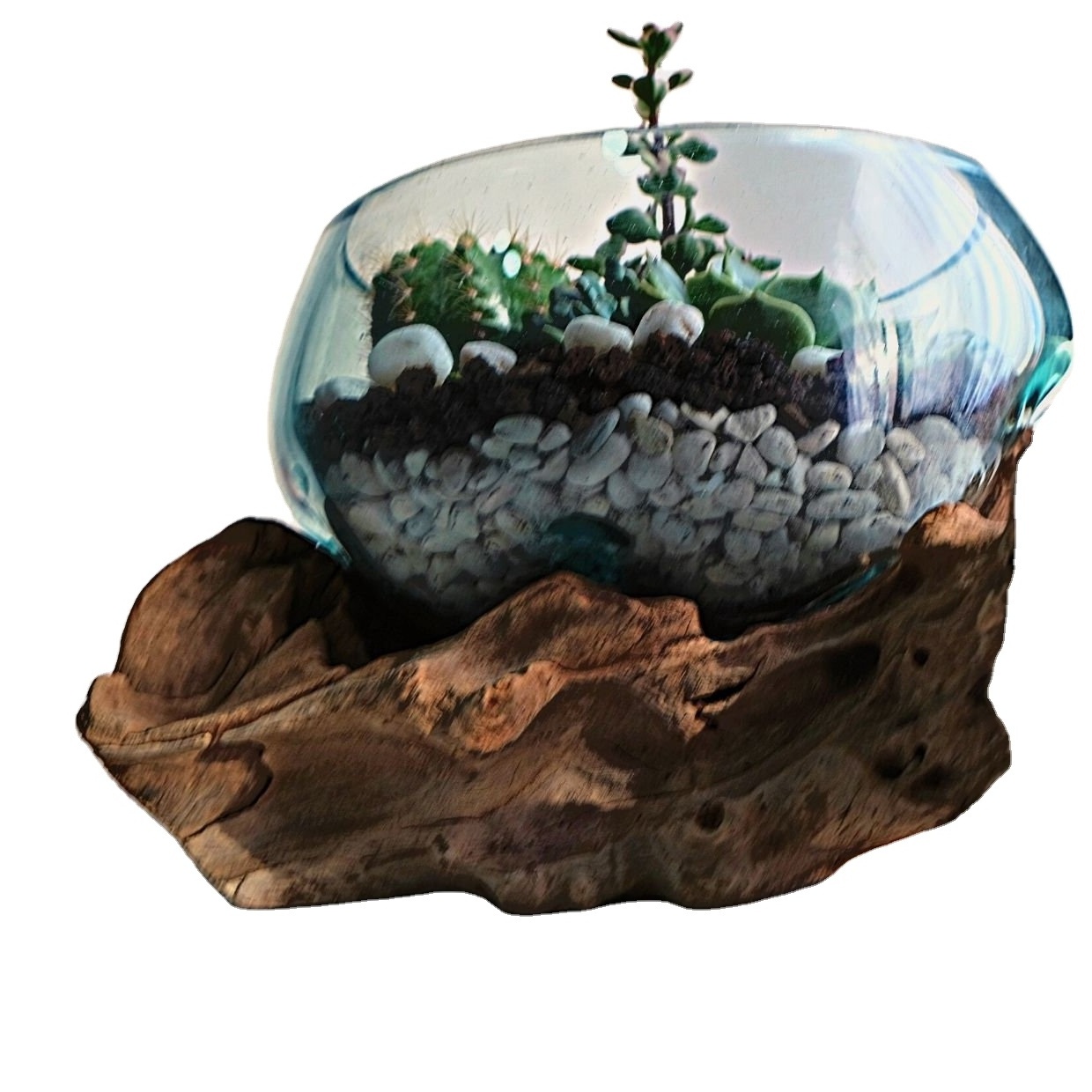 OEM Driftwood Molten Glass Terrarium Aquarium  Large Tall Light Up Terrarium Kit For Kid Gardening Tools