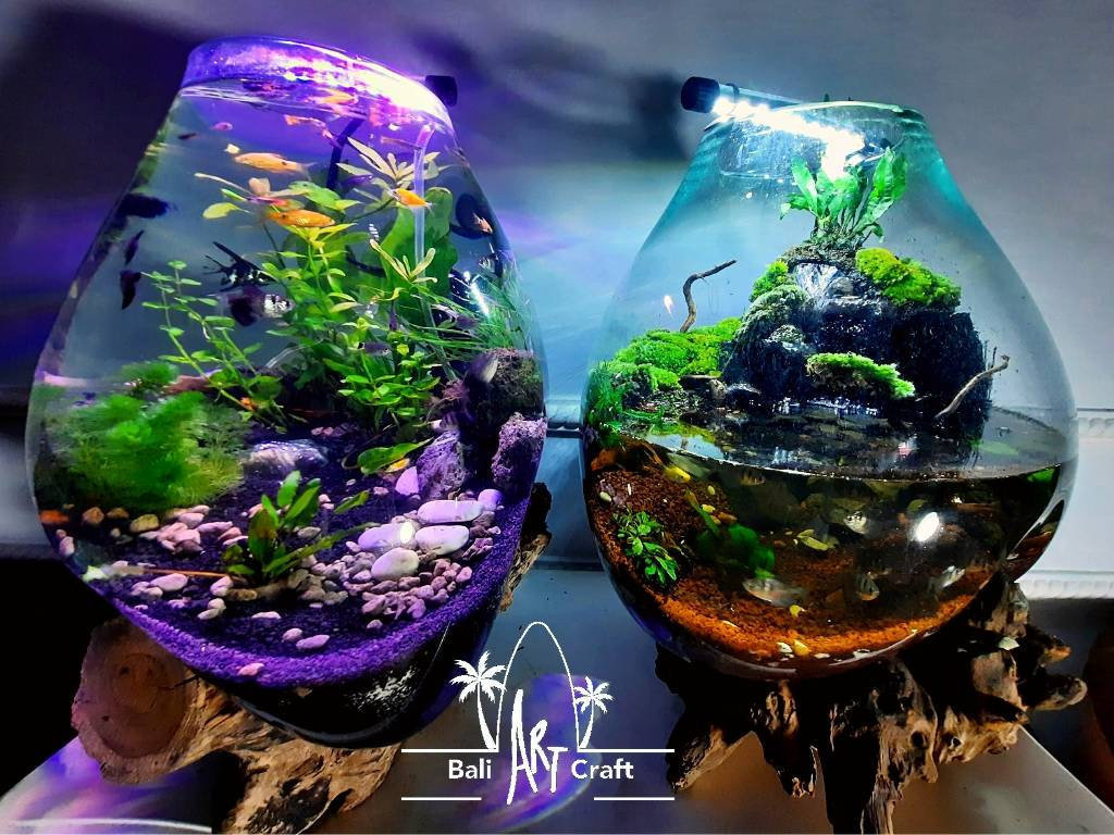 OEM Driftwood Molten Glass Terrarium Aquarium  Large Tall Light Up Terrarium Kit For Kid Gardening Tools