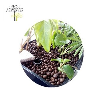 Garden Horticultural Soil Hydrotonic Expanded Clay Pebbles