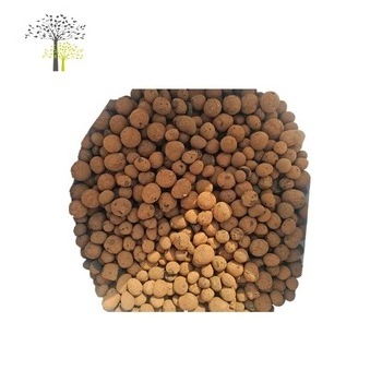 Garden Horticultural Soil Hydrotonic Expanded Clay Pebbles