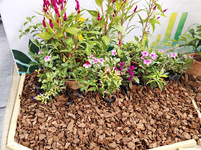 Factory Direct Supplier Pine Bark Chips Pine Bark Red Mulch For Garden Orchids Pine Bark