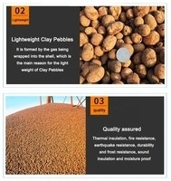 Leca Expanded Clay Pebbles for Plants 8mm-16mm - Hydro Ceramsite Balls Potting Mix for Orchid, Cactus, Succulents