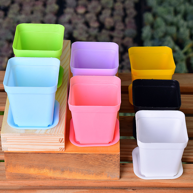 Wholesale Gardening Gifts Colorful Mini Succulent Plant Pots Plastic Flower Plant Pots with Drainage Holes and Saucers