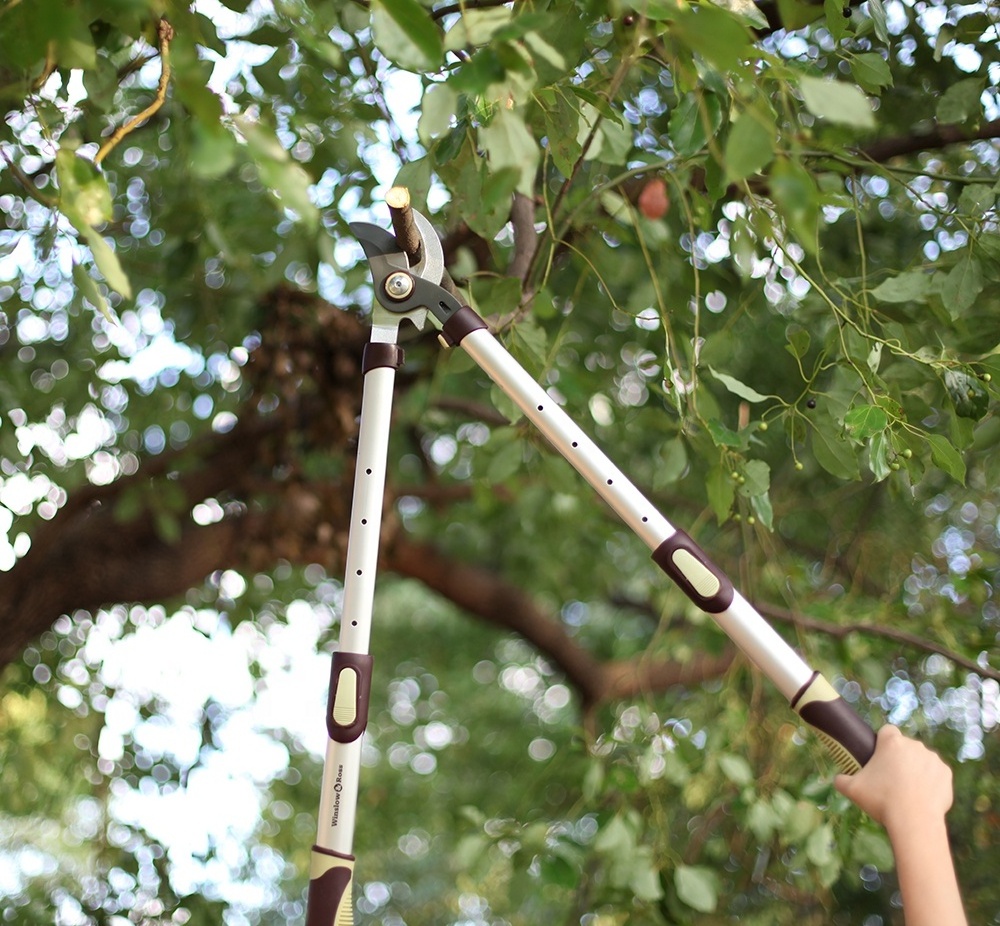 Winslow & Ross long handle telescopic tree branch cutter lopping shear garden extendable bypass lopper