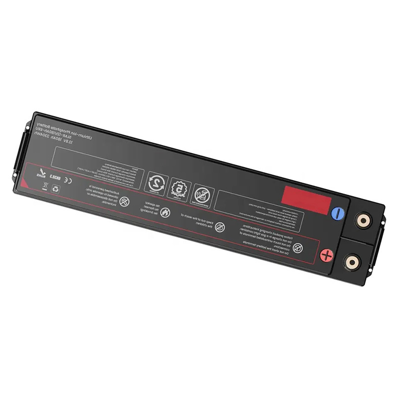 Hot 300Ah Battery-Powered Induction Cooker 12v 24v 36v 48v Universal LiFePO4 Battery