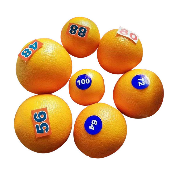 For Sale Wholesale Delicious Sweet Fresh Citrus Oranges For Sale Orange Oranges Fresh Orange Buyers Fresh Mandarin Orange