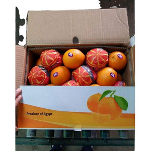 bulk oranges  Fresh Orange Buyers Fresh Mandarin Orange For Sale Wholesale Delicious Sweet Fresh Citrus Oranges For Sale