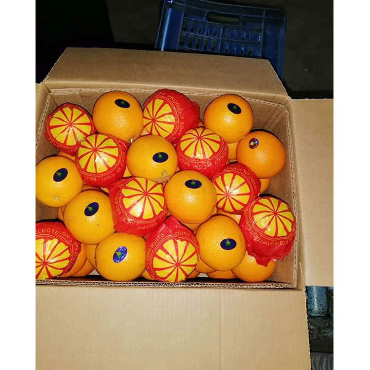 bulk oranges  Fresh Orange Buyers Fresh Mandarin Orange For Sale Wholesale Delicious Sweet Fresh Citrus Oranges For Sale