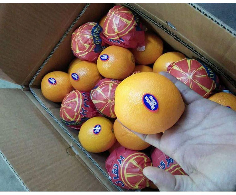 Fresh Mandarin Orange For Sale Wholesale Orange Oranges Fresh Orange Buyers  Delicious Sweet Fresh Citrus Oranges For Sale