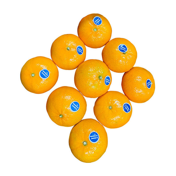 Oranges Fresh Mandarin Orange For Sale Orange Oranges Fresh Orange Buyers For Sale Wholesale Delicious Sweet Fresh Citrus