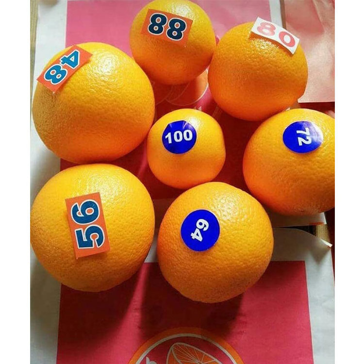 For Sale Wholesale Delicious Sweet Fresh Citrus Oranges For Sale Orange Oranges Fresh Orange Buyers Fresh Mandarin Orange