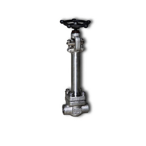 Forged steel PN40 DIN cryogenic globe valve