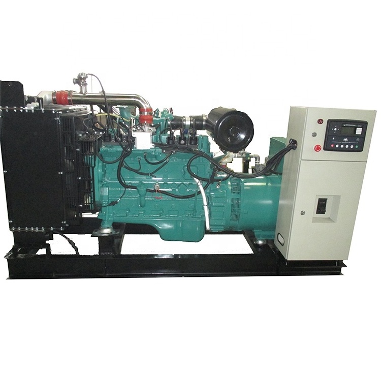 80kw natural gas powered generator Propane generator biomass gas turbine generators