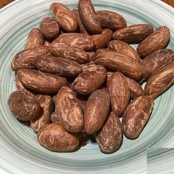 Bitter Kola / Garcinia Nut /Natural Fresh Kola Nuts