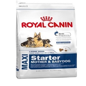 Royal canin 500G high protein Best wholesale bulk dry cat kitten food