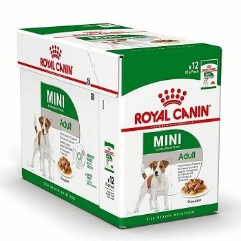 Royal canin 500G high protein Best wholesale bulk dry cat kitten food