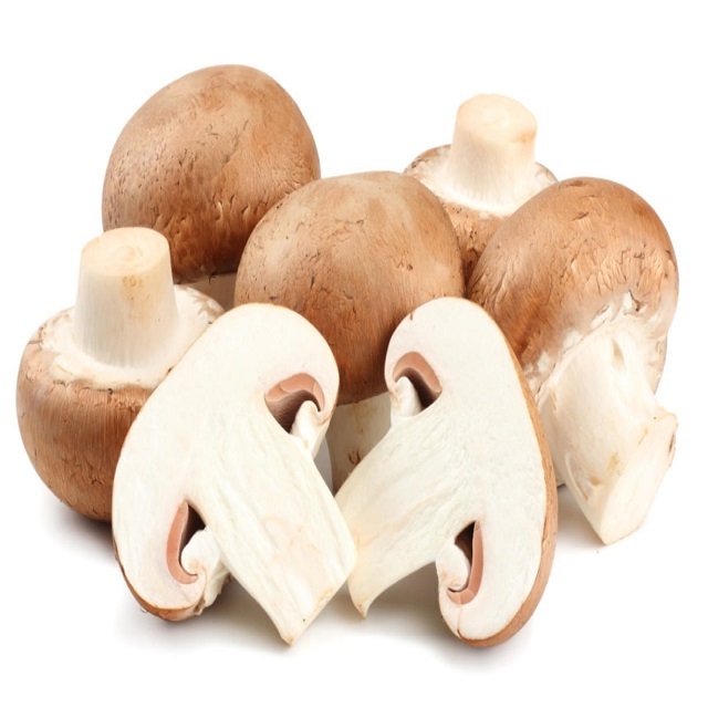 Quality Market price Canned Straw mushroom 400g