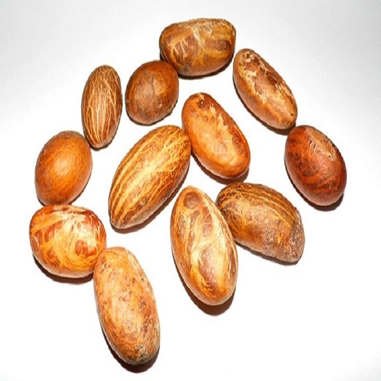 Bitter Kola / Garcinia Nut /Natural Fresh Kola Nuts