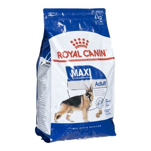 Royal canin 500G high protein Best wholesale bulk dry cat kitten food