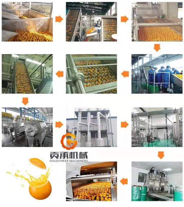 Now you have a renewed orange juicer apple pear pineapple orange fruit grape passion juice processing plant